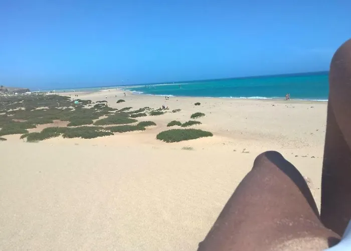 Your Ocean Window